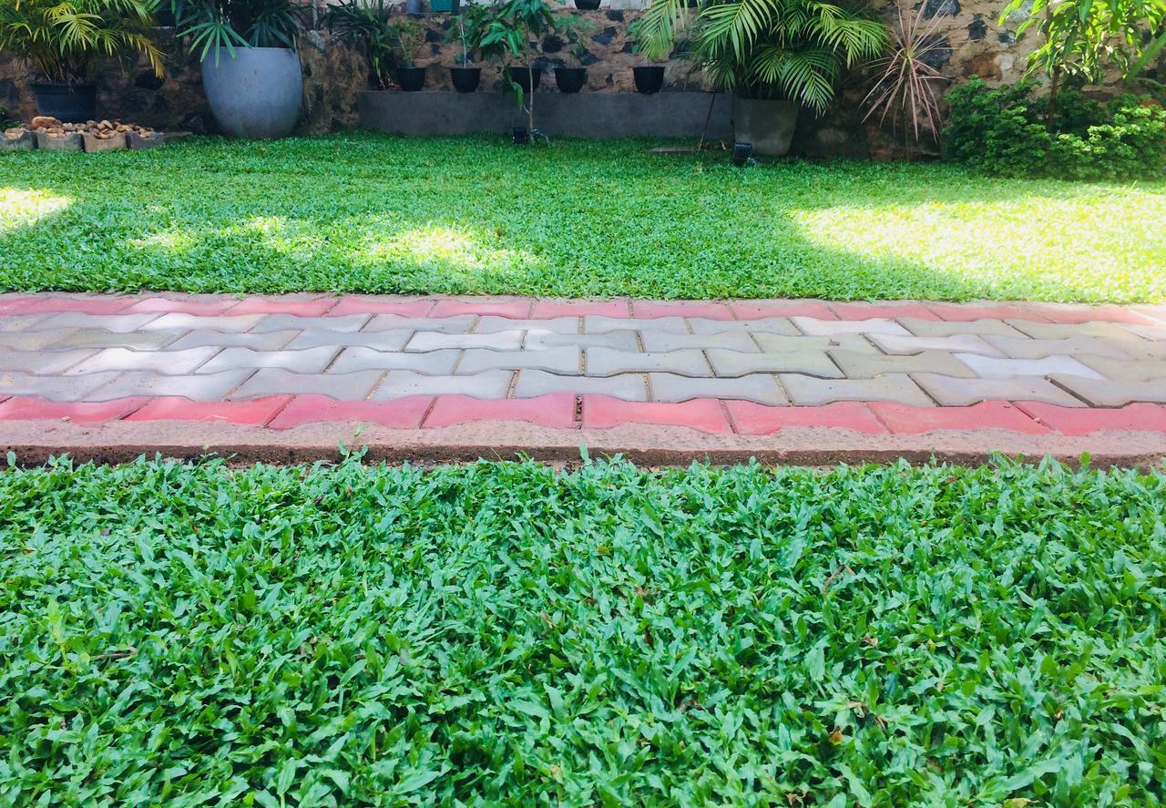 Lotus Dreams Guesthouse Weligama Exterior foto
